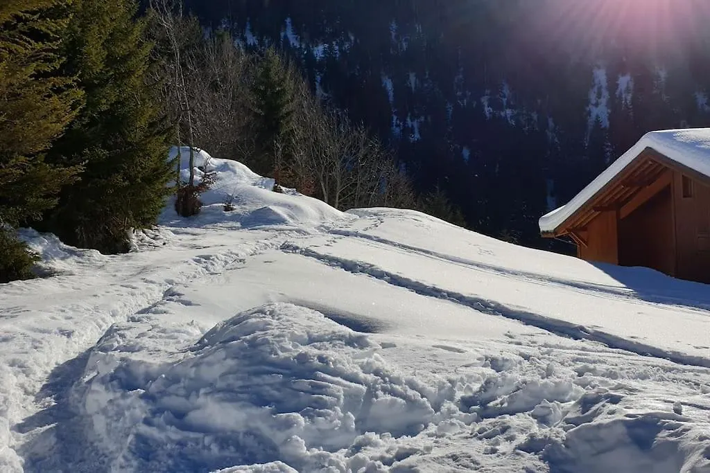 Au Pied Des Pistes, Dans Une Residence De Standing Cohennoz